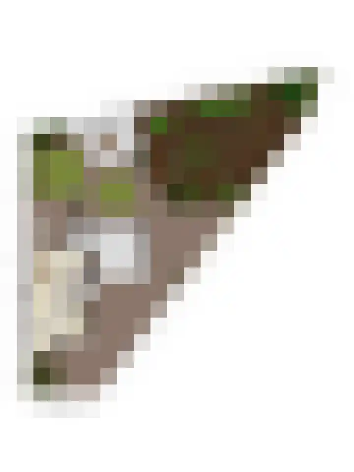 De Horst 1 B Rhenen thumbnail 62