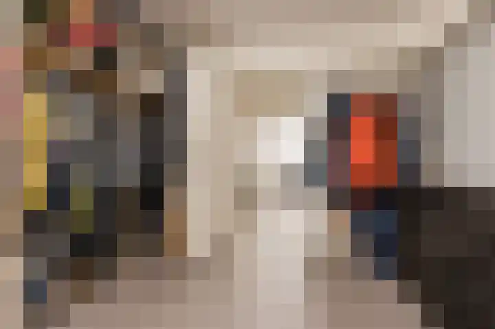 De Horst 11 Noordwijkerhout thumbnail 25