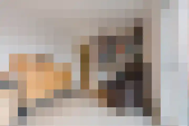 De Horst 11 Noordwijkerhout thumbnail 32