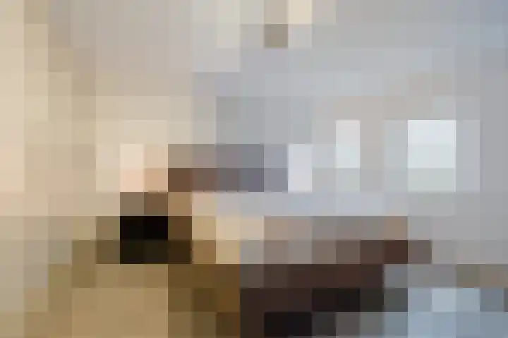 De Horst 11 Noordwijkerhout thumbnail 35