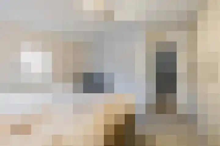 De Horst 11 Noordwijkerhout thumbnail 36