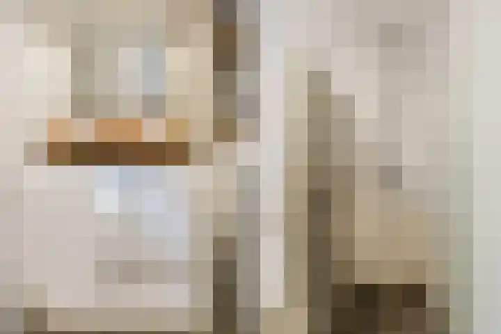 De Horst 11 Noordwijkerhout thumbnail 39
