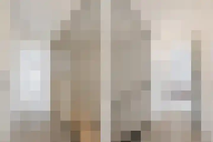 De Horst 11 Noordwijkerhout thumbnail 40