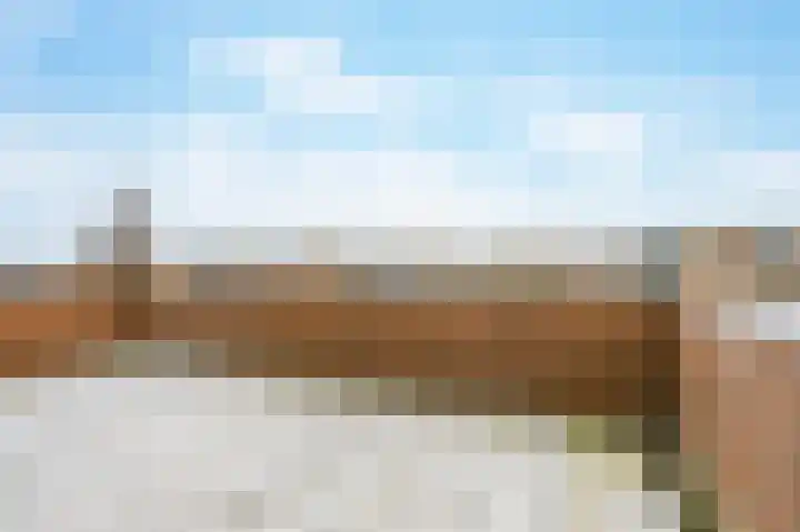 De Horst 11 Noordwijkerhout thumbnail 46