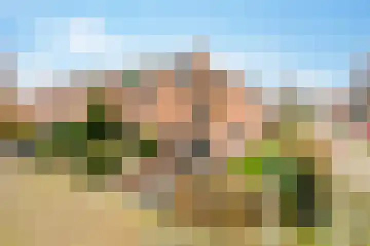 De Horst 11 Noordwijkerhout thumbnail 5