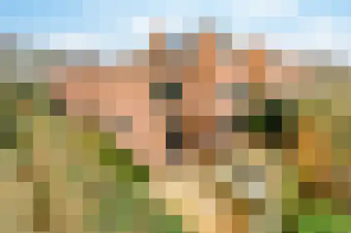 De Horst 11 Noordwijkerhout thumbnail 52