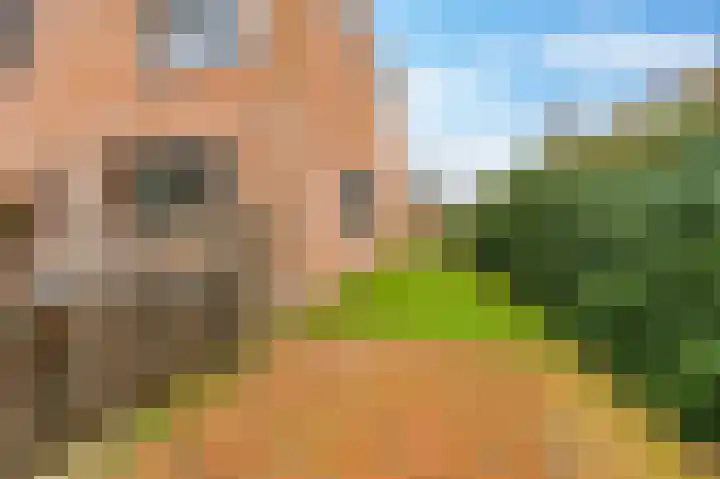 De Horst 11 Noordwijkerhout thumbnail 53