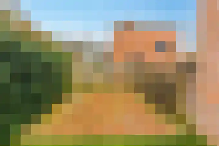 De Horst 11 Noordwijkerhout thumbnail 54