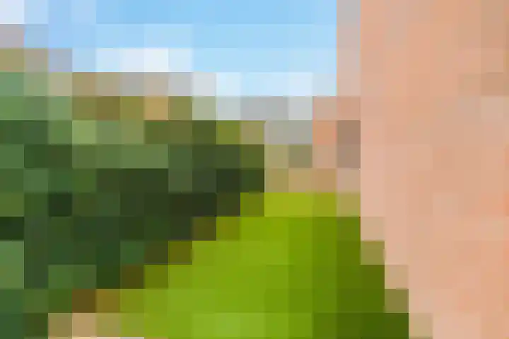 De Horst 11 Noordwijkerhout thumbnail 55