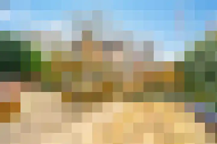 De Horst 11 Noordwijkerhout thumbnail 56