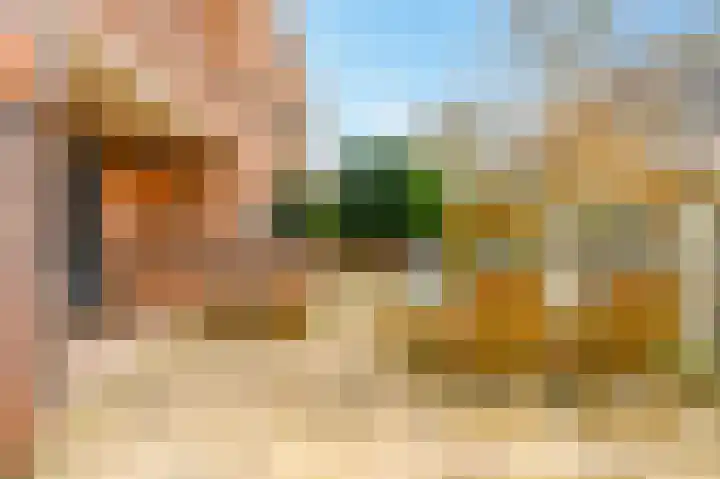 De Horst 11 Noordwijkerhout thumbnail 57