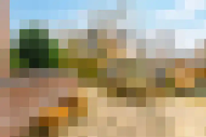 De Horst 11 Noordwijkerhout thumbnail 58