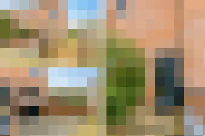 De Horst 11 Noordwijkerhout thumbnail 6