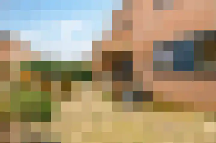 De Horst 11 Noordwijkerhout thumbnail 60