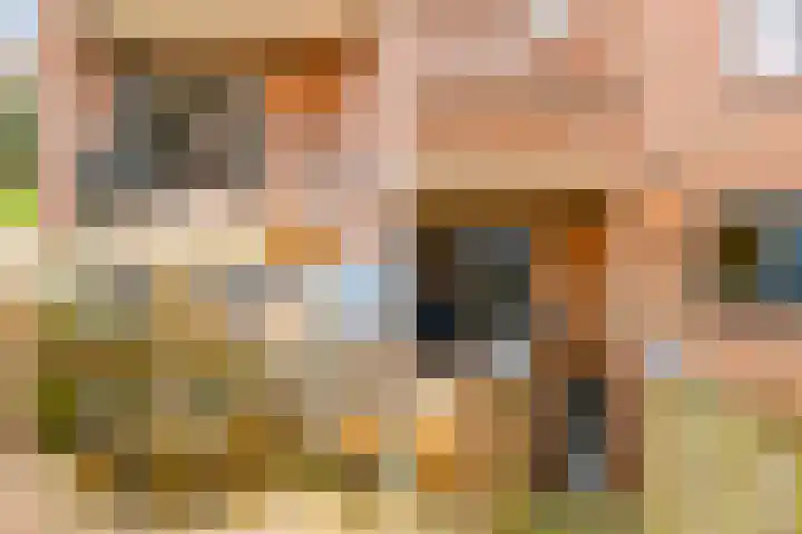 De Horst 11 Noordwijkerhout thumbnail 61