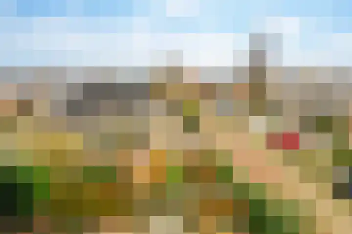 De Horst 11 Noordwijkerhout thumbnail 62