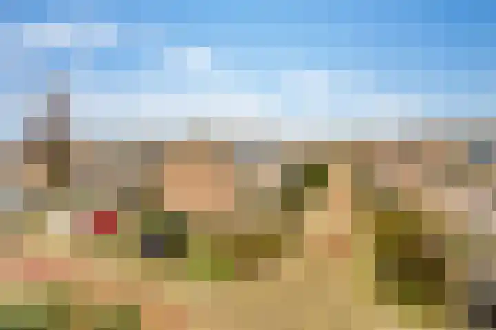 De Horst 11 Noordwijkerhout thumbnail 63