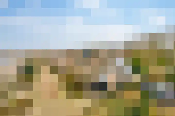 De Horst 11 Noordwijkerhout thumbnail 64