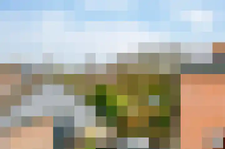 De Horst 11 Noordwijkerhout thumbnail 65