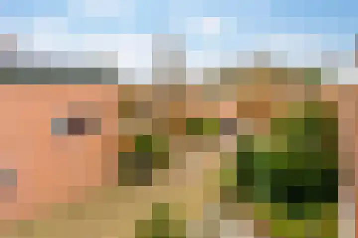 De Horst 11 Noordwijkerhout thumbnail 66