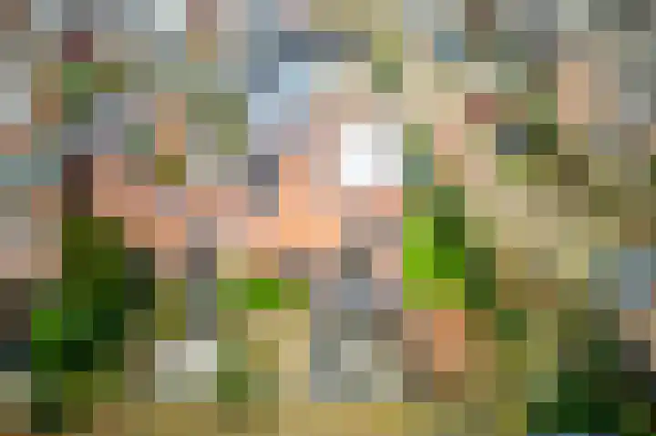 De Horst 11 Noordwijkerhout thumbnail 68