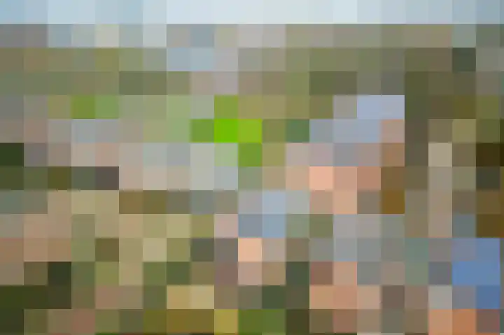 De Horst 11 Noordwijkerhout thumbnail 70