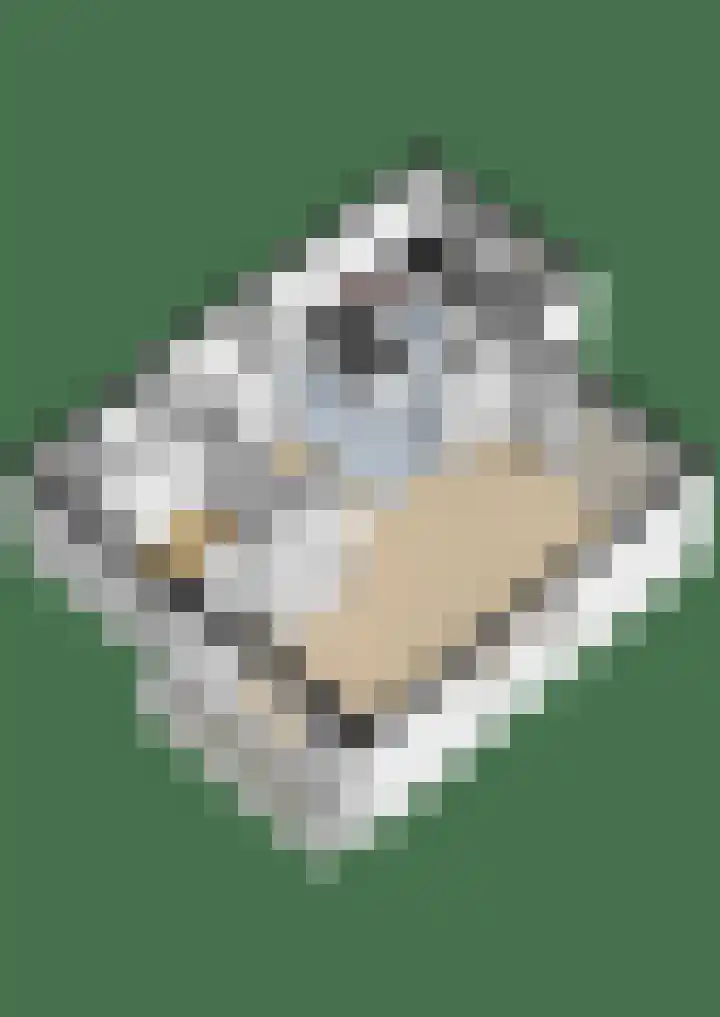 De Horst 11 Noordwijkerhout thumbnail 78
