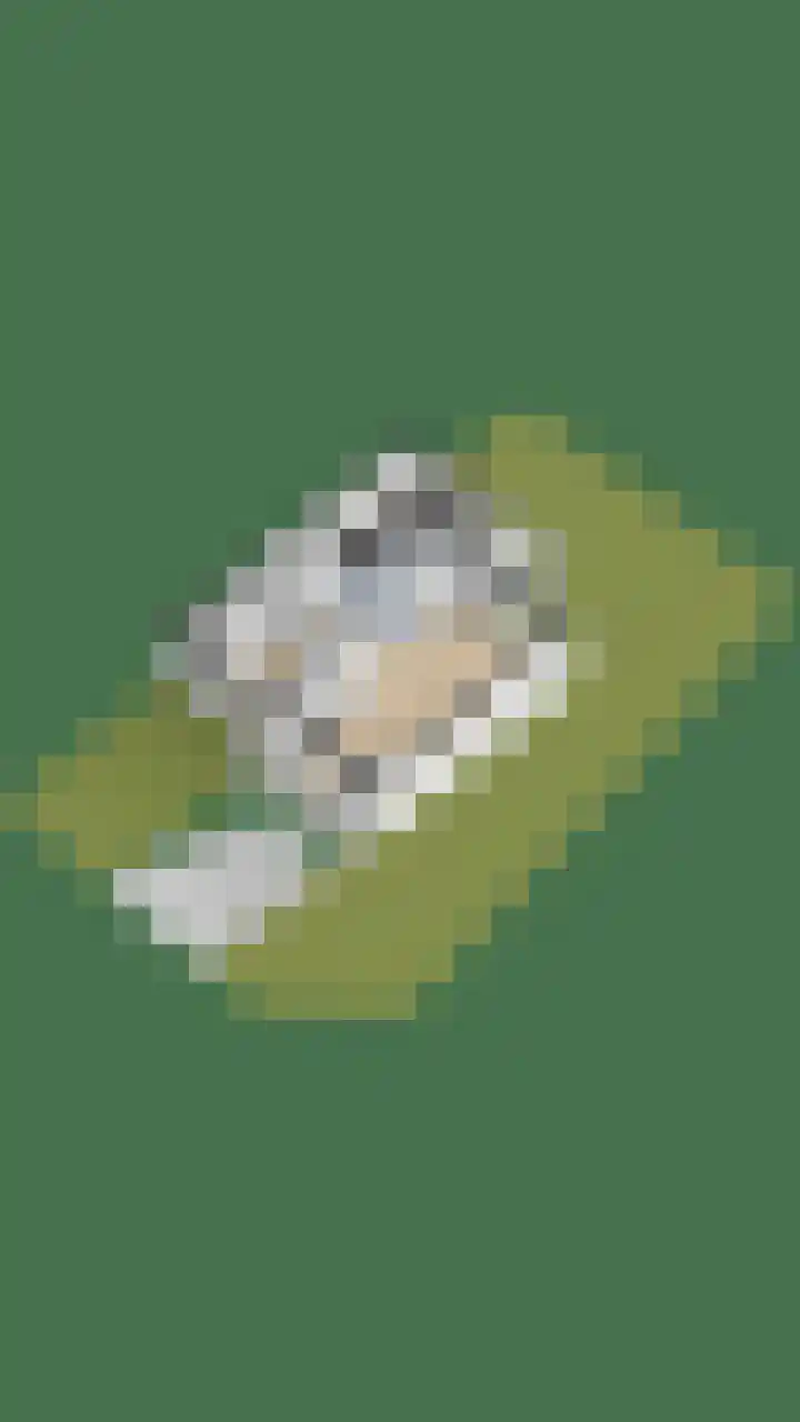 De Horst 11 Noordwijkerhout thumbnail 82