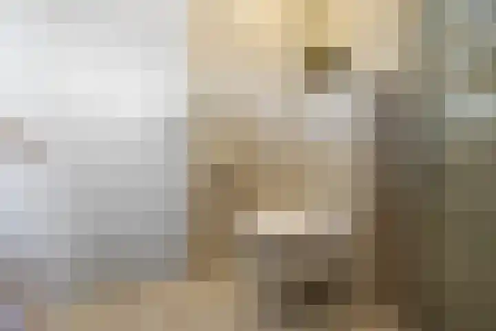 De Horst 12 Westervoort thumbnail 10