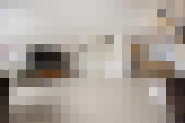 De Horst 12 Westervoort thumbnail 12