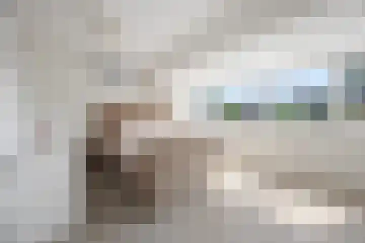 De Horst 12 Westervoort thumbnail 18