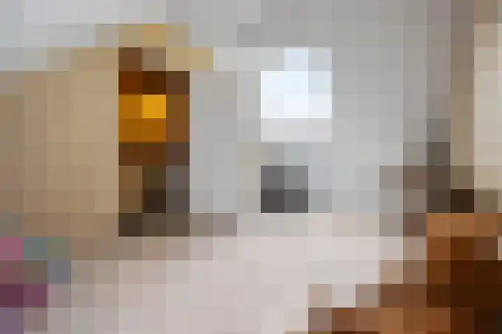 De Horst 12 Westervoort thumbnail 27