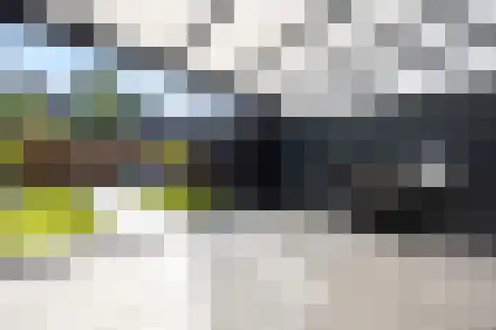 De Horst 12 Westervoort thumbnail 30