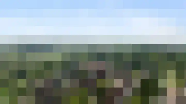 De Horst 12 Westervoort thumbnail 33
