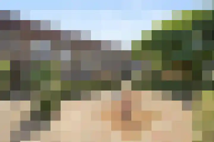 De Horst 12 Westervoort thumbnail 5