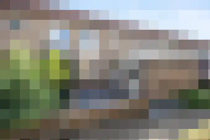 De Horst 12 Westervoort thumbnail 6