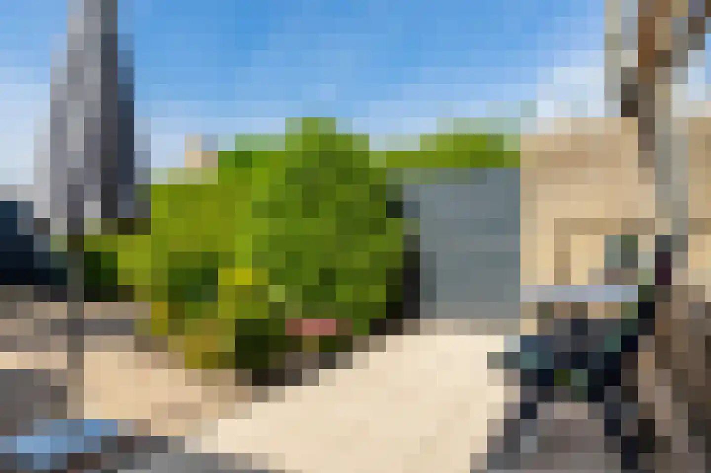 De Horst 13 Sliedrecht thumbnail 23