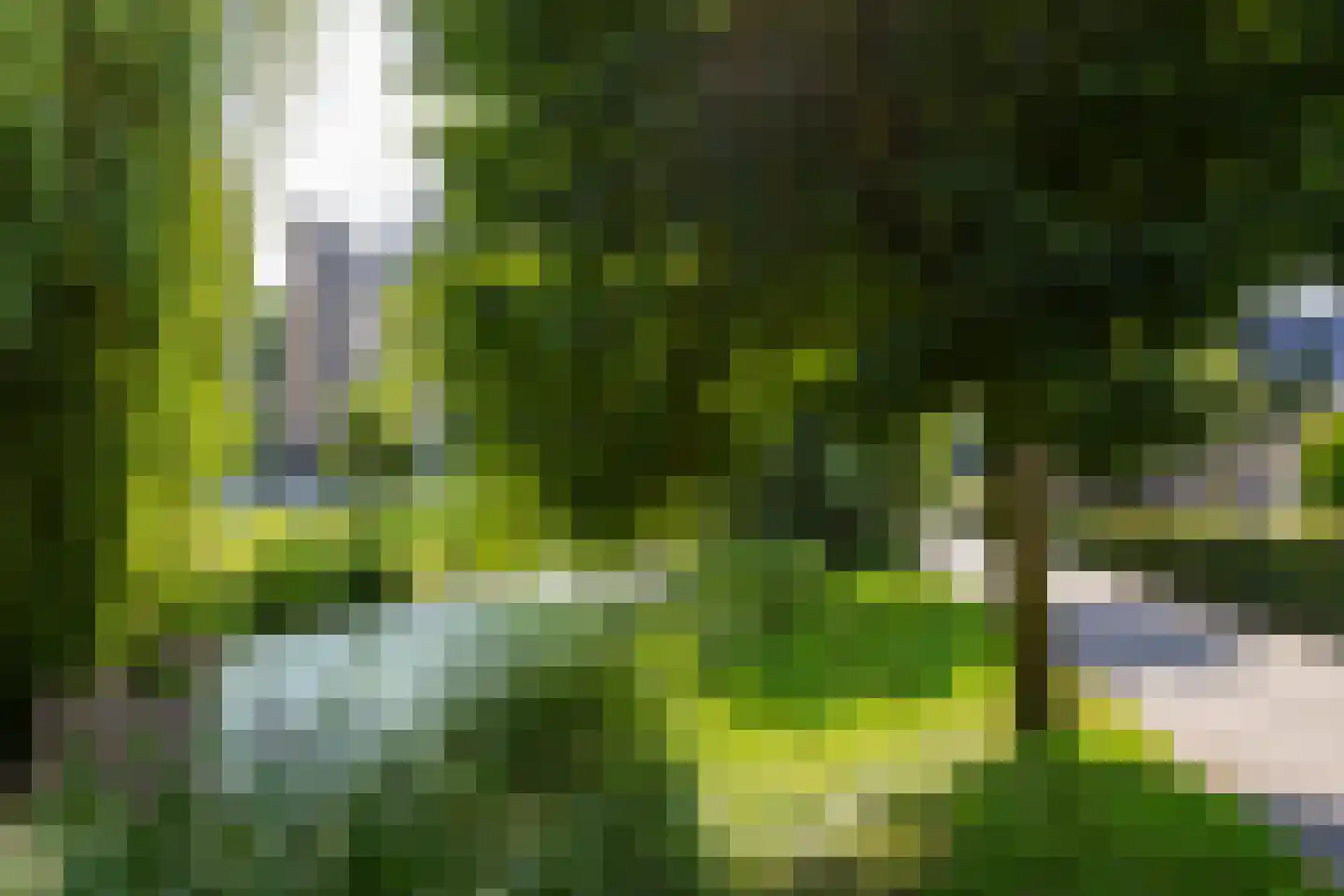 De Horst 13 Sliedrecht thumbnail 27