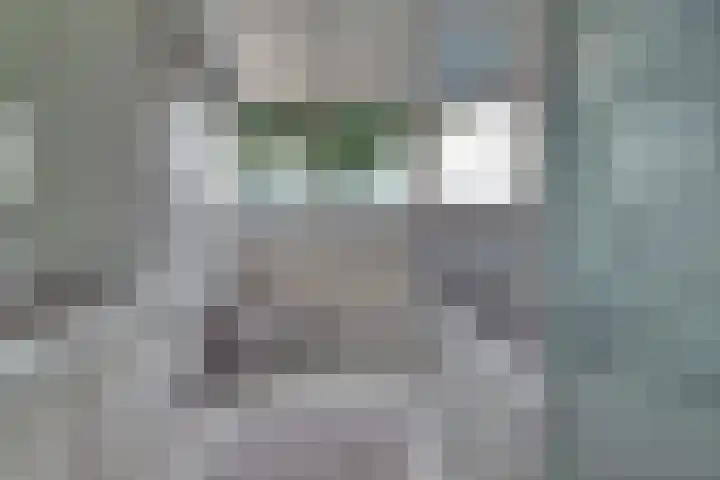 De Horst 13 Zevenaar thumbnail 25