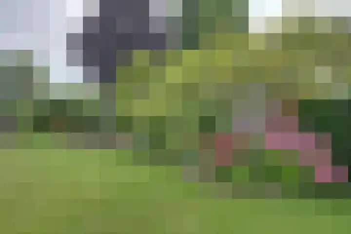 De Horst 13 Zevenaar thumbnail 31