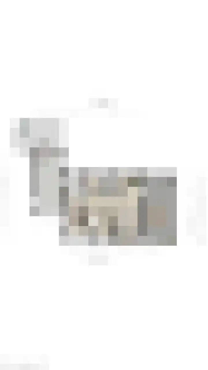 De Horst 13 Zevenaar thumbnail 35