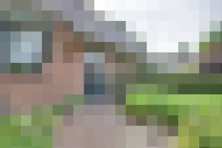 De Horst 13 Zevenaar thumbnail 6