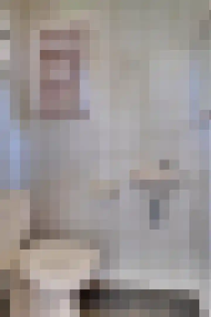 De Horst 13 Zevenaar thumbnail 8