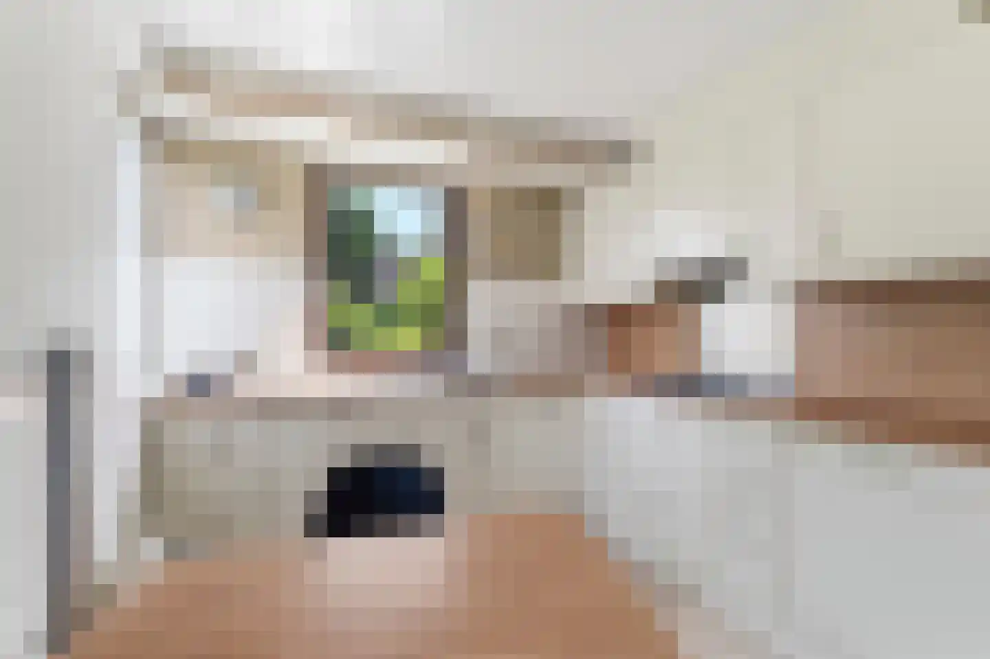 De Horst 14 Zevenaar thumbnail 17