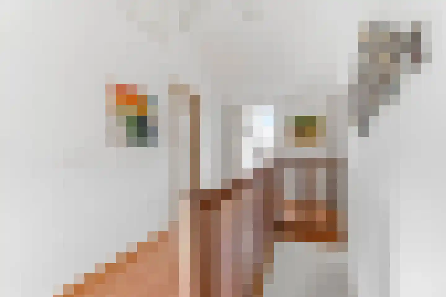 De Horst 14 Zevenaar thumbnail 30