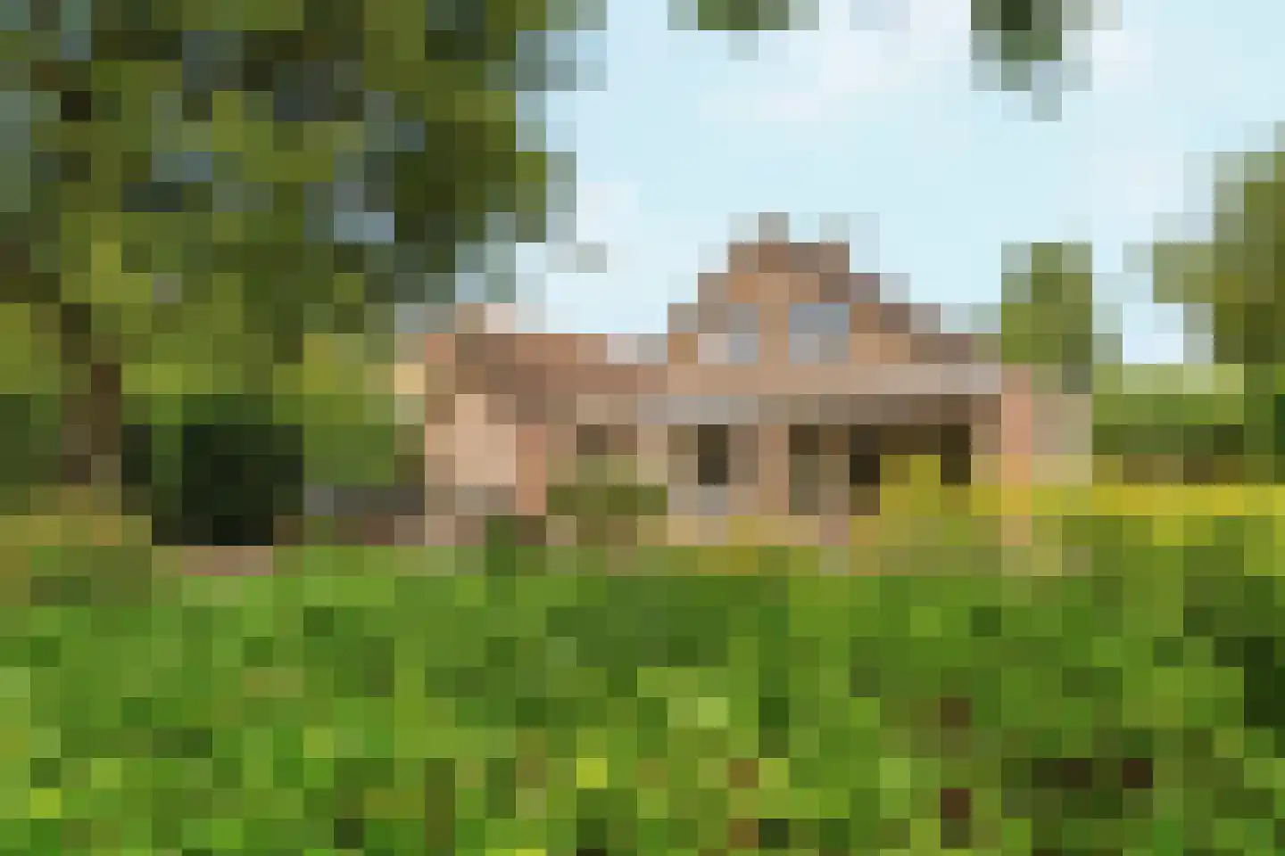 De Horst 14 Zevenaar thumbnail 41