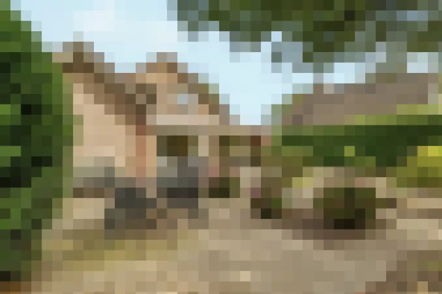 De Horst 14 Zevenaar thumbnail 42