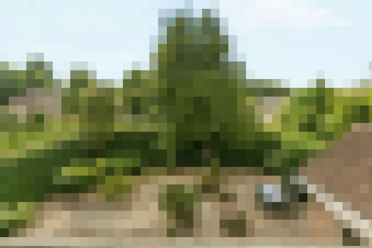 De Horst 14 Zevenaar thumbnail 47