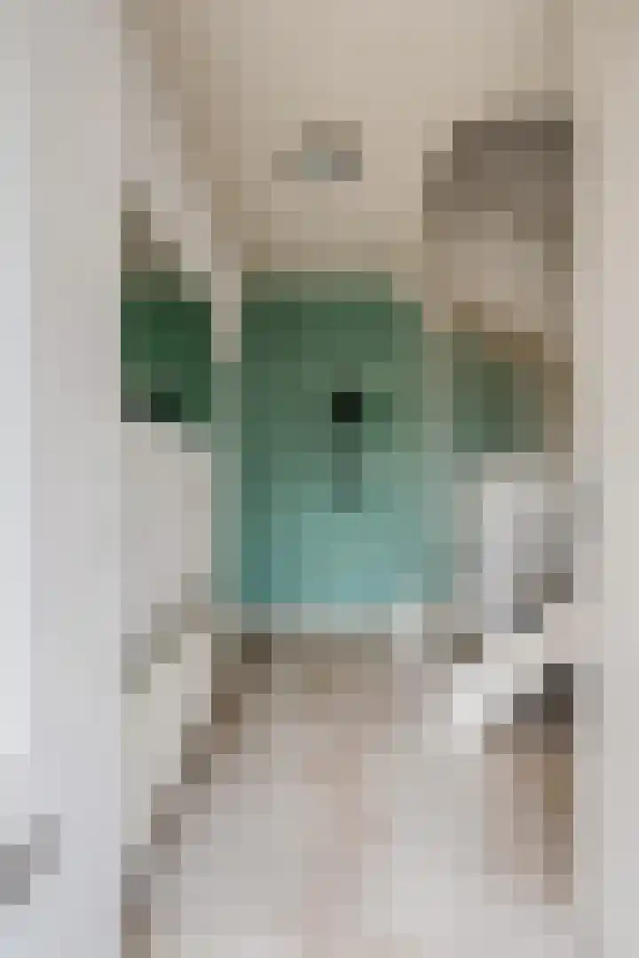 De Horst 15 Hasselt thumbnail 10