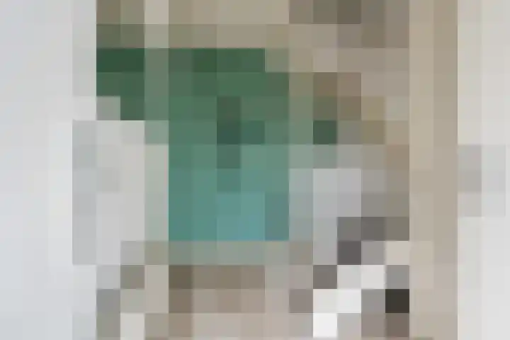 De Horst 15 Hasselt thumbnail 11